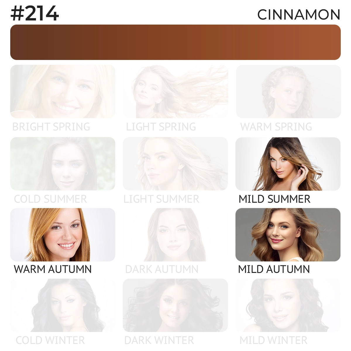 #214 Lip pigment "Cinnamon"
