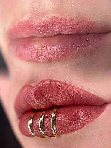 Пигмент для губ #206 Пепельная роза