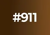 911 Chestnut Warm