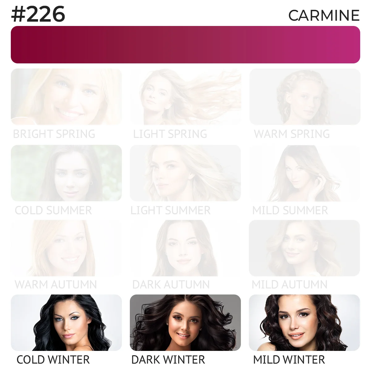 #226 Lip Pigment "Carmine"