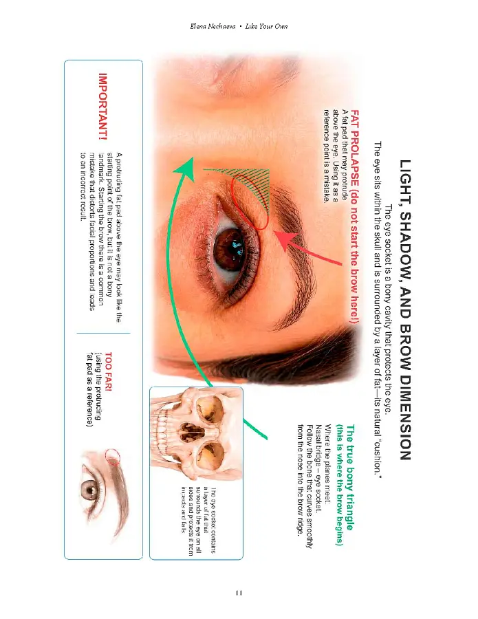 Like Your Own — book for permanent makeup artists. Permanent makeup by NE Pigments