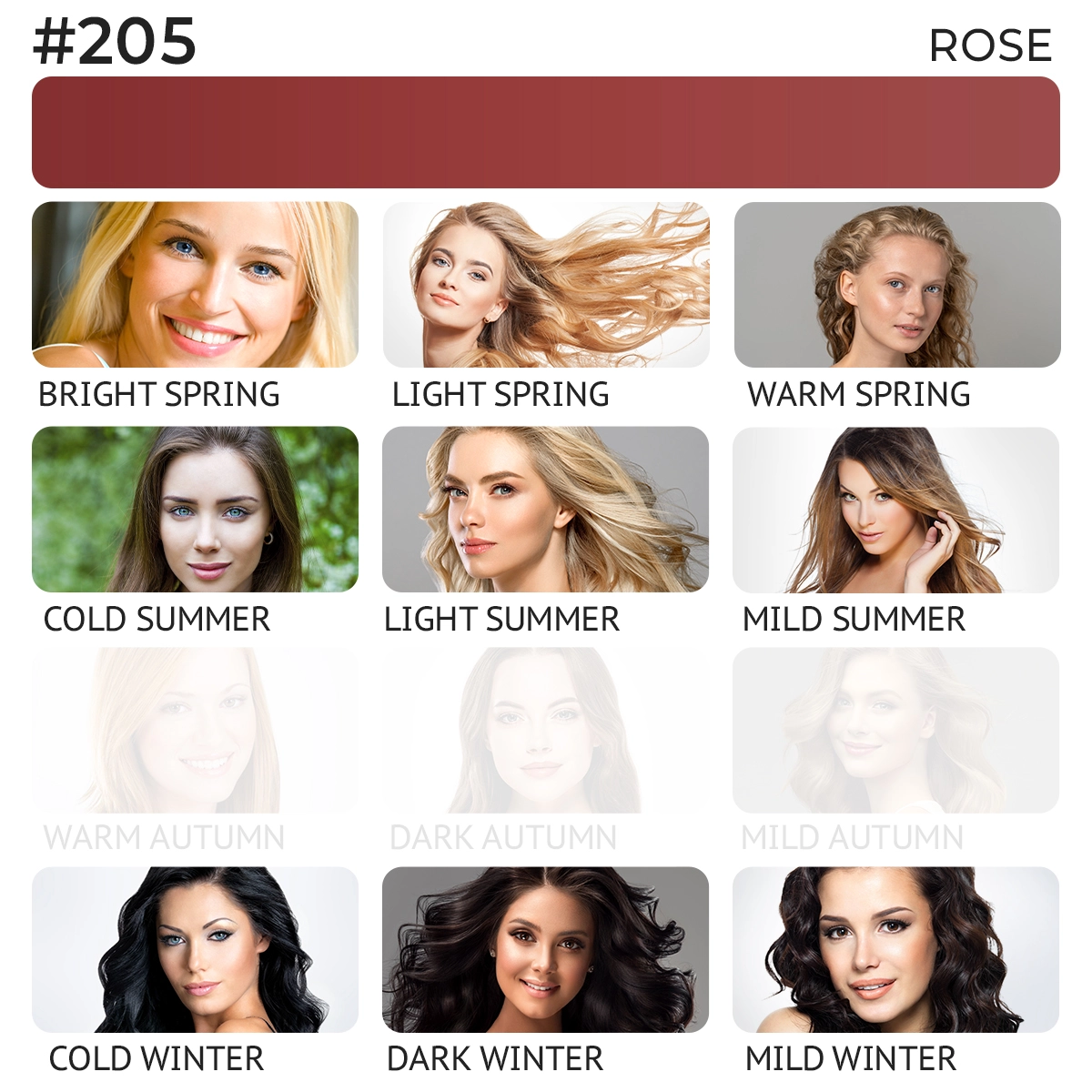 #205 Lip pigment "Rose"