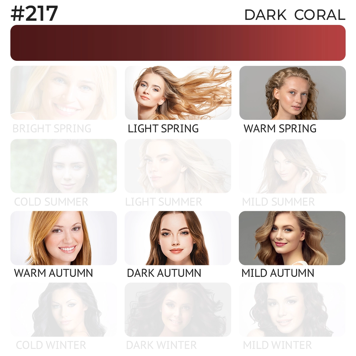 #217 Lip Pigment "Dark Coral"