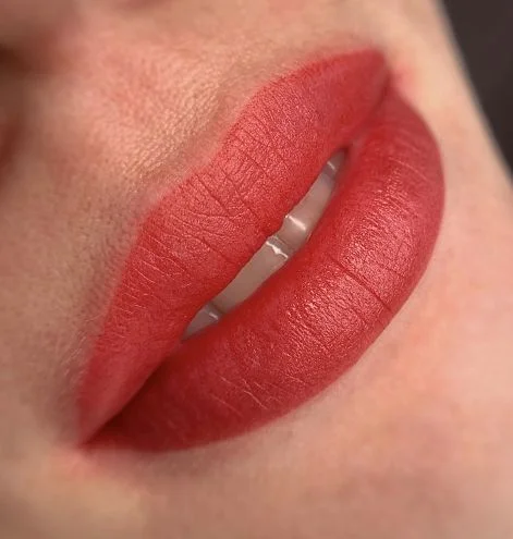 Пигмент для губ #221 Темно-алый