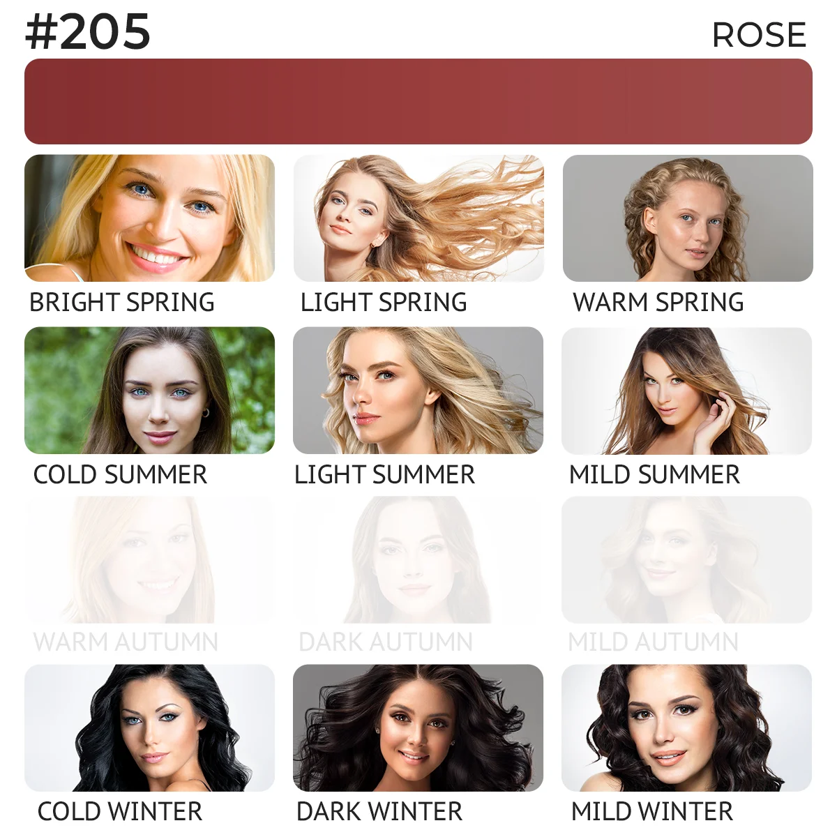 #205 Lip pigment "Rose"