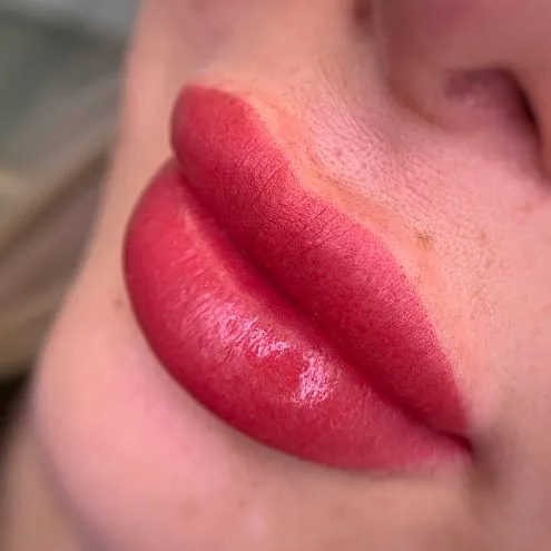 Пигмент для губ #221 Темно-алый