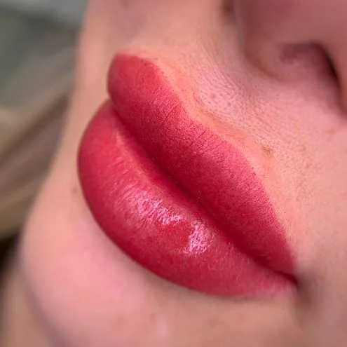 Пигмент для губ #221 Темно-алый