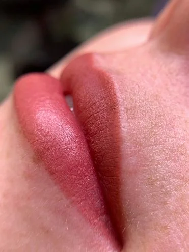 Пигмент для губ #206 Пепельная роза